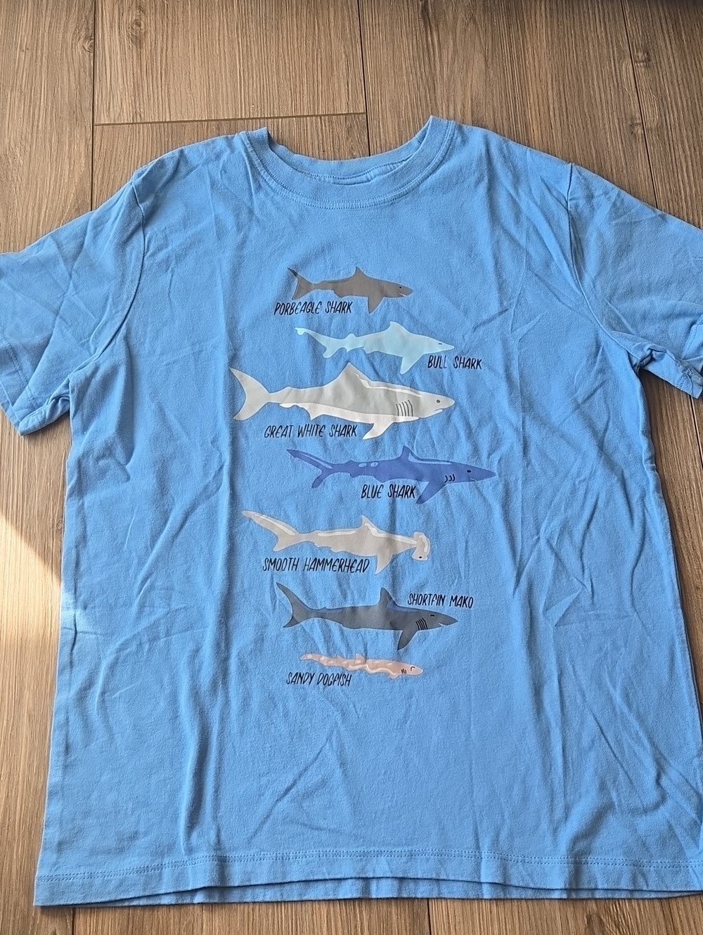 Hanna Andersson Shark Tshirt